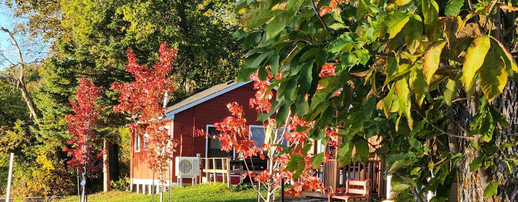 Trent River Cottages Hastings Exterior foto